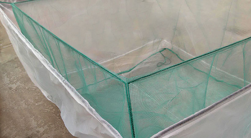 Assembling net on the cage