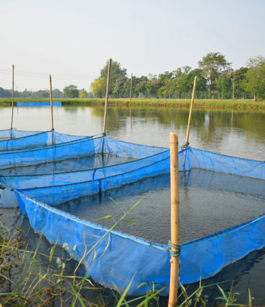 Fishing Net Catalog | Naite Ropenet