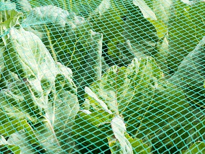 agricultural net Naite Ropenet