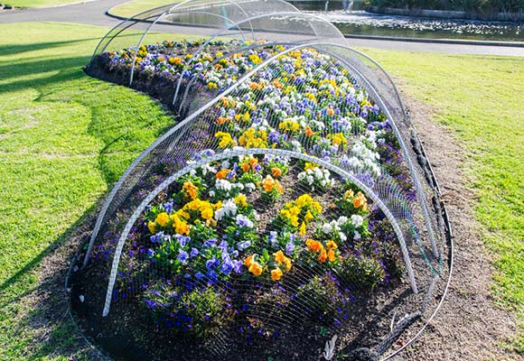 agricultural net for garden Naite Ropenet