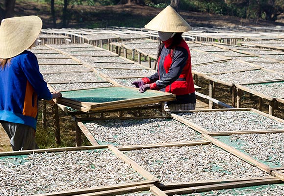 fishing net Naite Ropenet