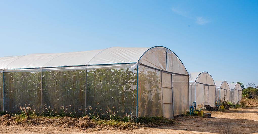 sunshade net | Naite Ropenet